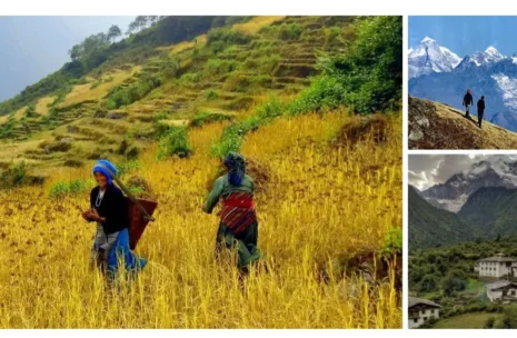 Arun Valley Trek 16 Days