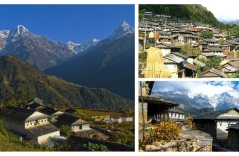 Ghandruk Village Trek 8 Days