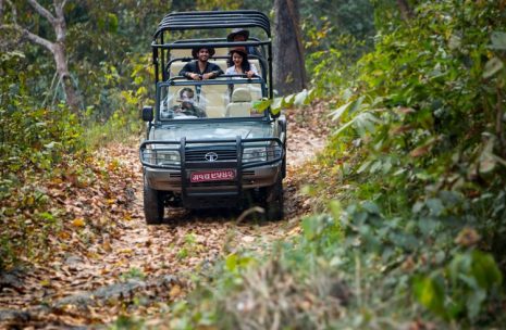 Kathmandu and Chitwan Holidays – 6 days