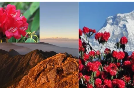 Mahabharat with Rhododendron Trek 15 Days