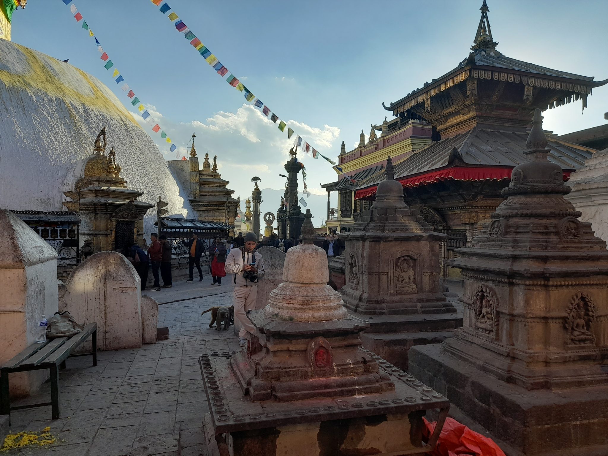 Nepal Culture and Safari Tour – 5 days