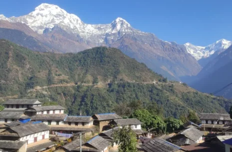 Sikles Gurung Village Trek 9 Days