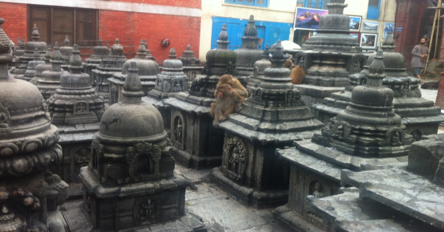 Nepal Golden Triangle Tour 8 days