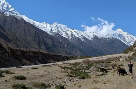 Manaslu & Tsum Valley Trek – 20 days
