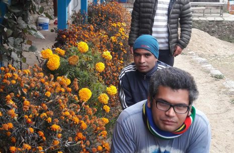 Forest Camp way to Mardi Himal