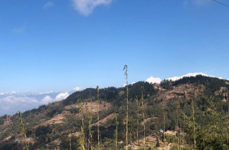 Kanchenjunga Trek