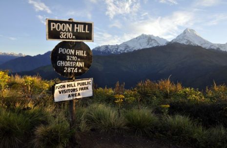 Ghorepani and Poon Hill Trek in Nepal