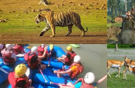 Bardia Wildlife Safari Tour 5 Days
