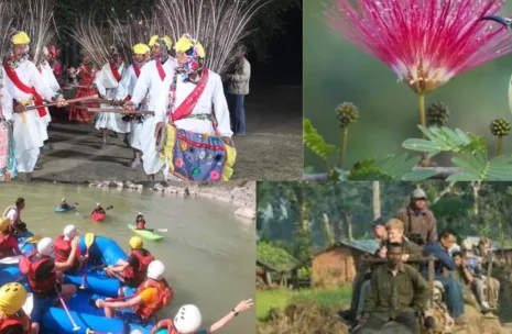 Bardia National Park Tour 4 Days