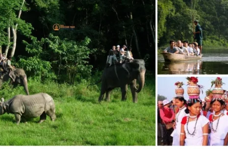 Chitwan Safari Tour 4 Days