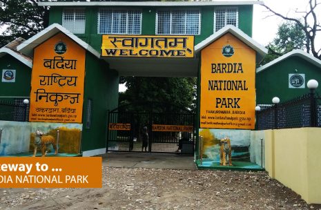 Wildlife Safari in Bardia – 2 days