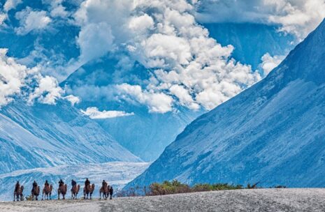 Nubra Valley and Leh Tour