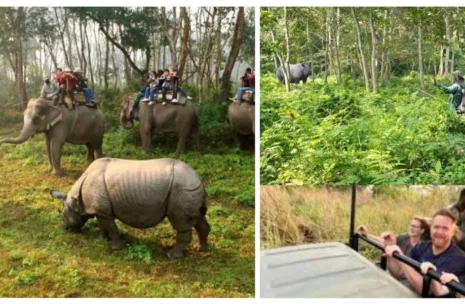 Wildlife Safari Tour in Chitwan 3 days
