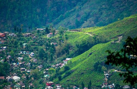 Discover Sikkim Tour
