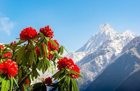 Bhutan, Nepal and Tibet Tour – 14 days