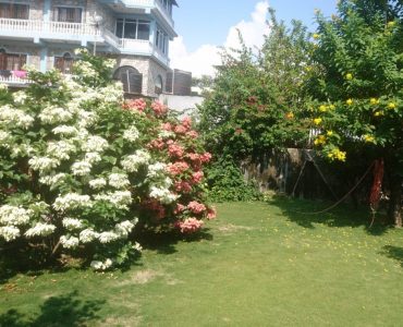 Nepal Trip Package and Vacation