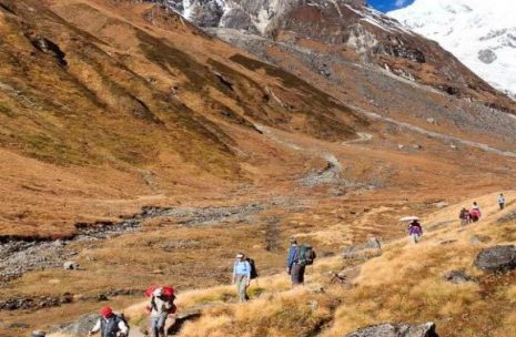 Annapurna Region Trekking
