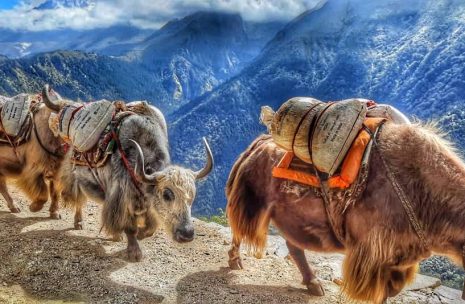 Everest View Trek