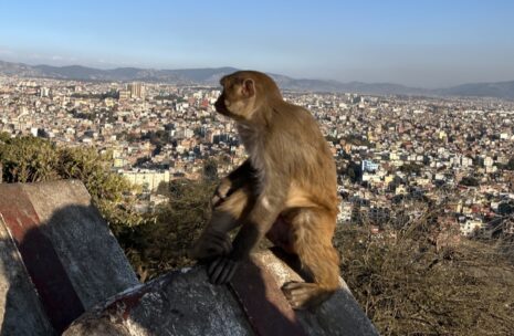Nepal Exotic tour, Nepal