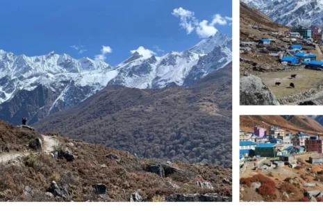 Short Langtang Valley Trek 9 Days