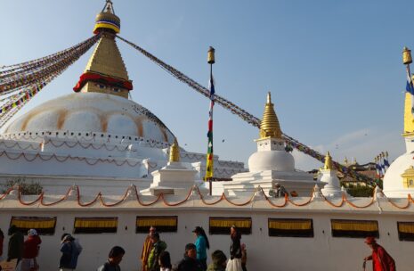 Best Nepal Tour, Best of Nepal Tour, Best Nepal Tour Itinerary, Best Nepal Tour Cost, Best Nepal Tour Price, Nepal Tour Itinerary, Adventure Tour, Wildlife Safari Tour, Kathmandu Tour, Nagarkot Sunset Tour, Bhaktapur Tour, Pokhara Tour, Sarangkot Sunrise Tour