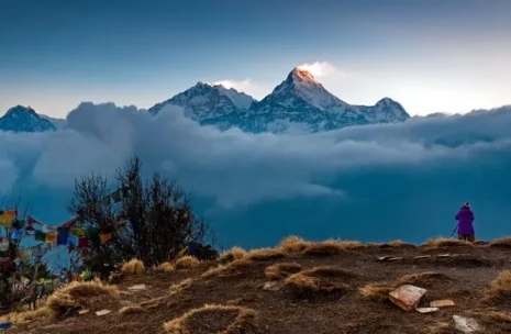 Ghorepani Poon Hill Trek (7 Days)