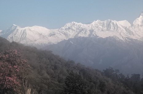 Ghorepani and Poon Hill Trek