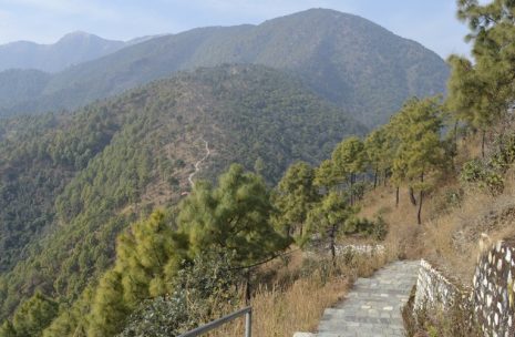 Champadevi Day Hiking