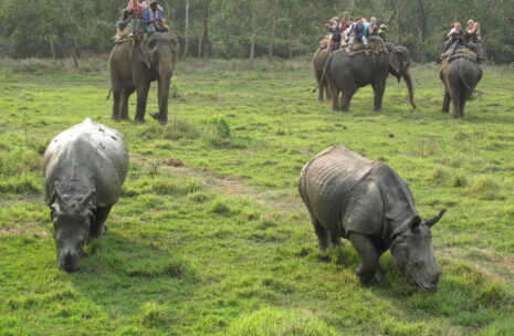 Nepal Tour Package, Nepal Tour, Autumn Season Tour, Trekking, Nepal Package Tour, Nepal trekking, Everest Base Camp Trek, Ghorepani Poon Hill Trek, Ghandruk Village Tour, Everest View Trek, Langtang Valley Trek