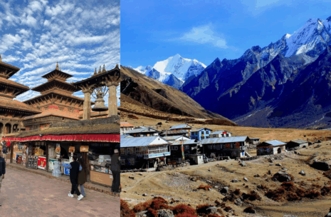 Nepal Heritage Tour with Langtang Valley Trek (16 Days)