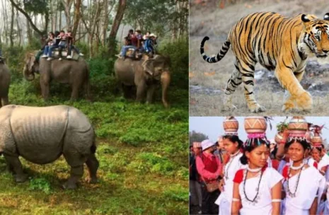 Nepal Wildlife Tours